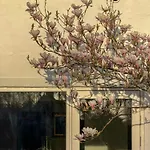 Skagen House Vakantiehuis *