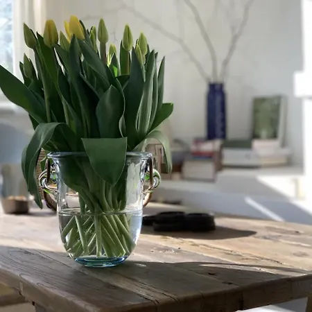 Skagen House * Aalbaek