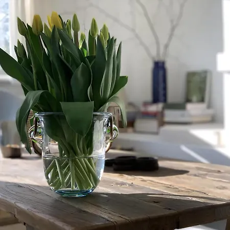 Skagen House